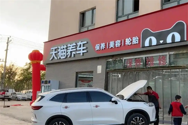 天猫养车