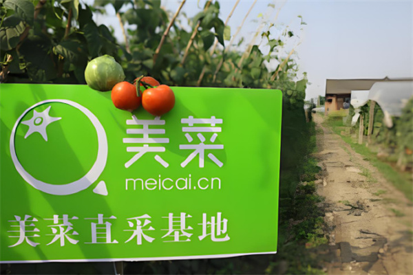 美菜生鲜