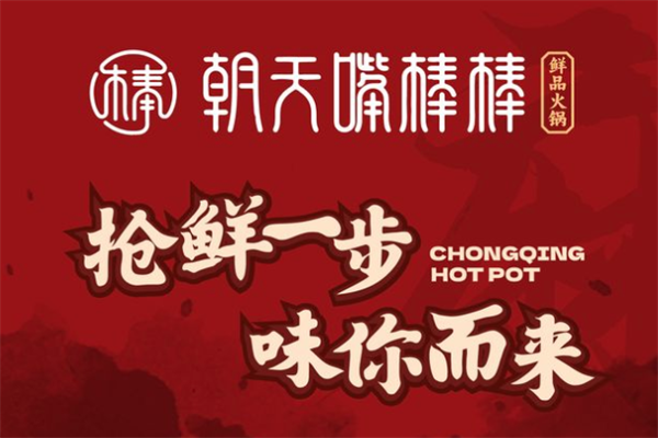 朝天嘴棒棒鲜品火锅