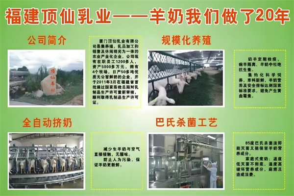 顶仙羊奶饮品 顶仙羊奶饮品