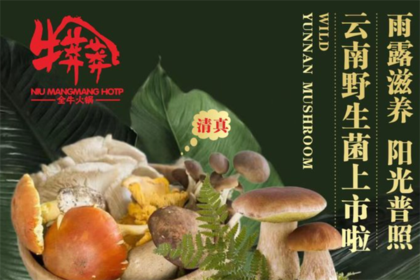 牛莽莽全牛火锅