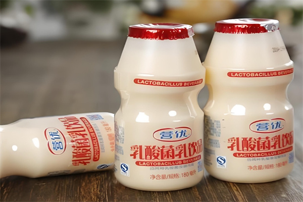 营优乳酸菌乳饮品
