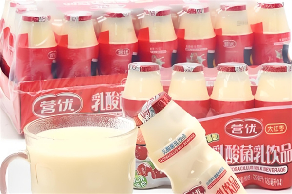 营优乳酸菌乳饮品