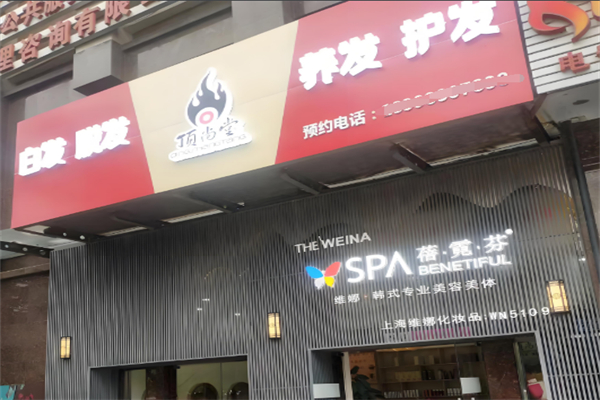顶尚堂头疗
