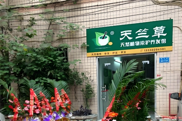 天竺草植物养发馆
