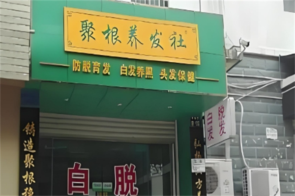 聚根养发社