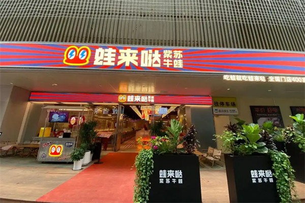 蛙来哒牛蛙 蛙来哒牛蛙
