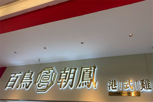 百鸟朝凤鸡煲火锅