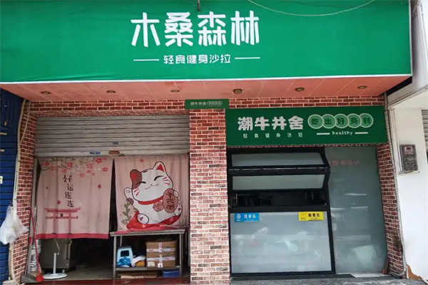 木桑森林轻食