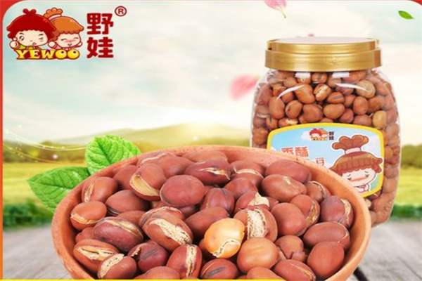 野娃休闲食品加盟 野娃休闲食品加盟