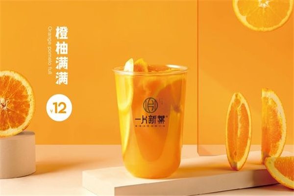 一片新叶奶茶加盟 一片新叶奶茶加盟