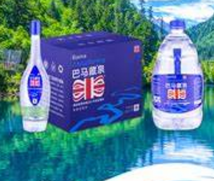 巴马藏泉