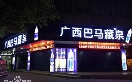 巴马藏泉