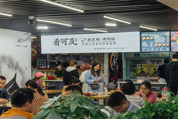肴可及·脆皮鸡烤肉饭