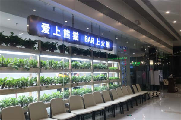 爱上熊猫火锅 爱上熊猫火锅