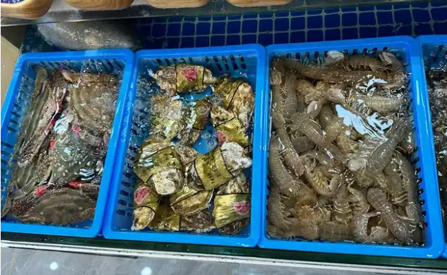 船来鲜海鲜