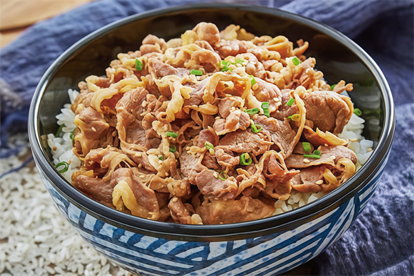 新野家日式烤肉丼饭
