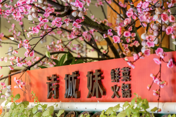 诗城妹鲜菜火锅 诗城妹鲜菜火锅