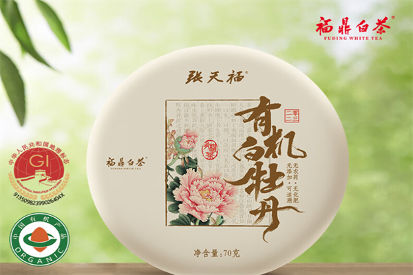 张天福有机白茶 张天福有机白茶