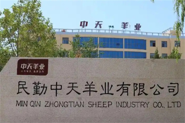 中天羊业