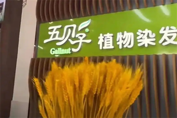 五贝子植物染发专家 五贝子植物染发专家
