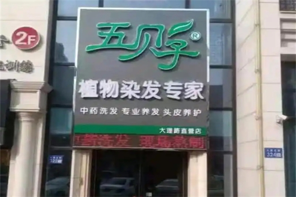 五贝子植物染发专家 五贝子植物染发专家