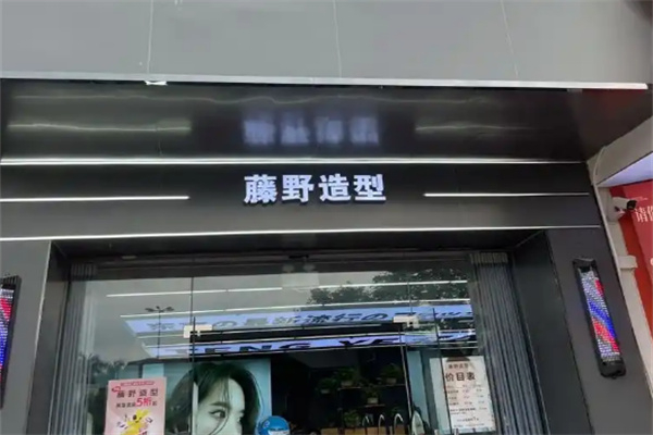 藤野造型
