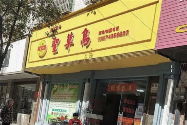 圣草乌养发馆