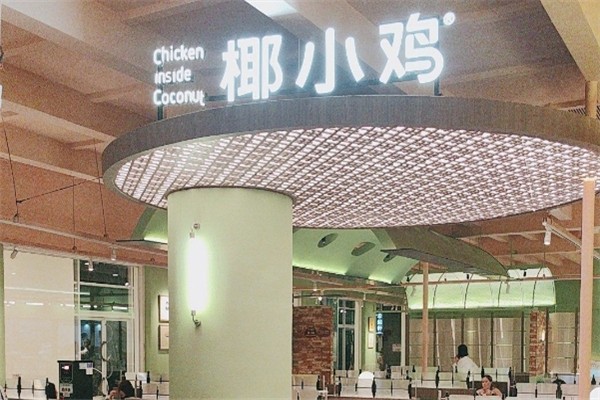 椰小鸡椰子鸡