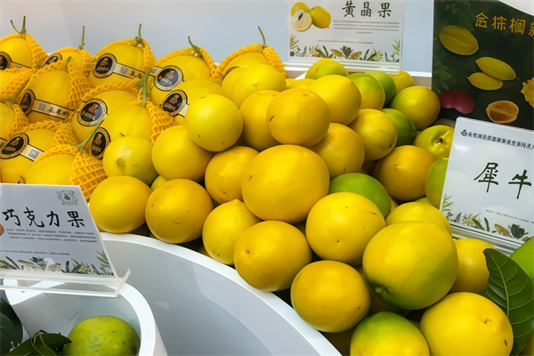农产品信息连锁超市