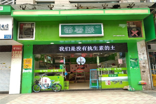 番薯藤生鲜蔬菜