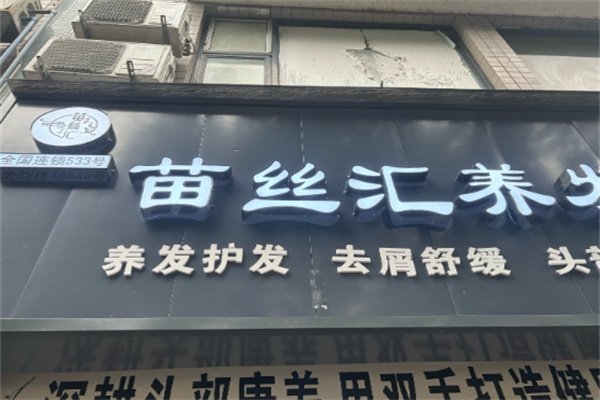 苗丝汇养发