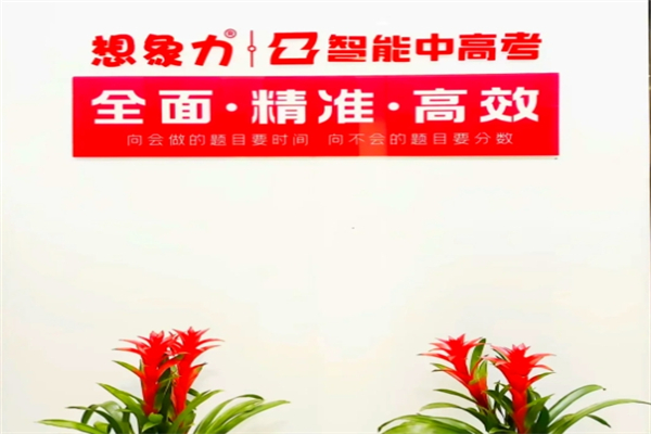 想象力智能中高考