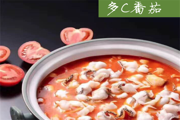 猫咪爱上鱼