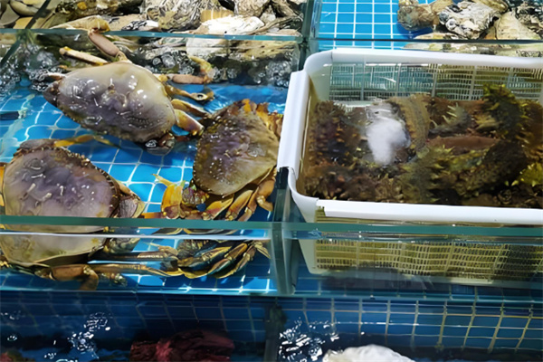 锦衣卫海鲜