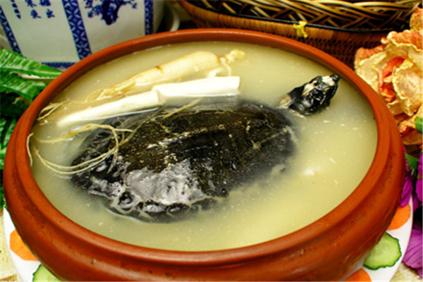 大圣甲鱼