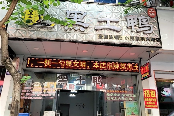 黑土鸭 黑土鸭