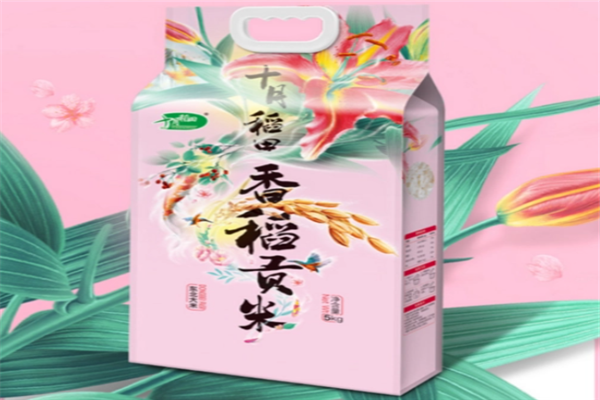 十月稻田