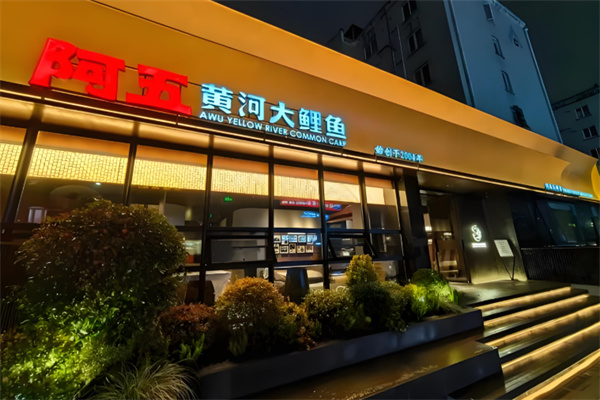 阿五黄河大鲤鱼