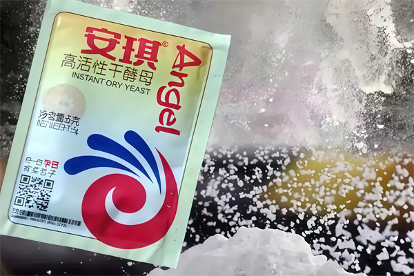 安琪酵母调料 安琪酵母调料