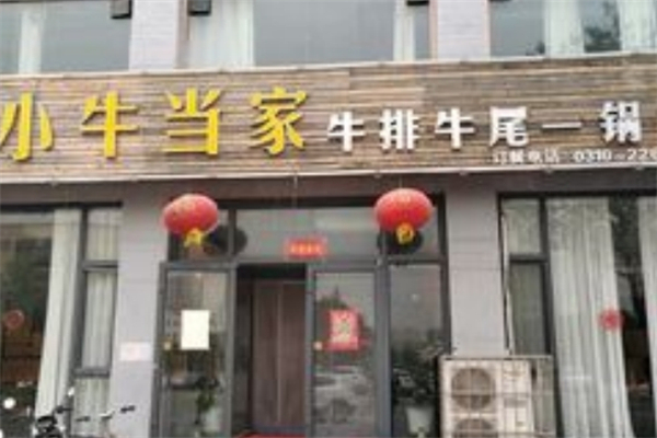 牛牛小牛当家牛排牛尾一锅香 牛牛小牛当家牛排牛尾一锅香