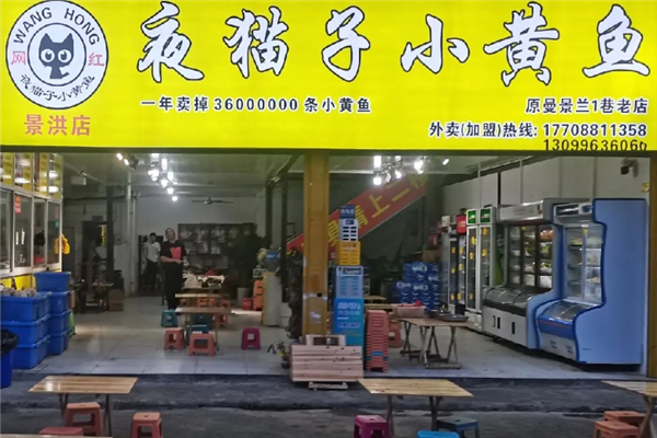 夜猫子小黄鱼