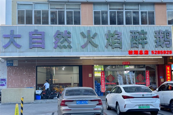 大自然火焰醉鹅