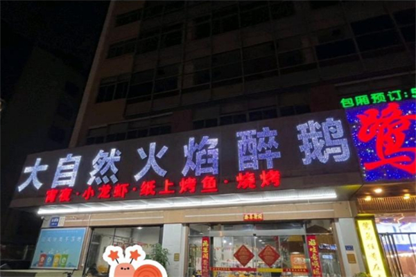 大自然火焰醉鹅