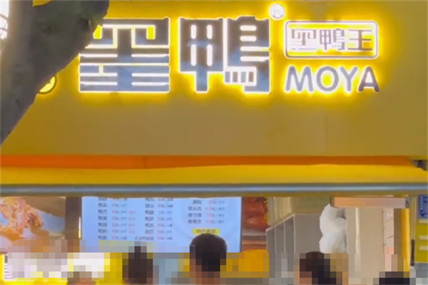 墨鸭黑鸭王