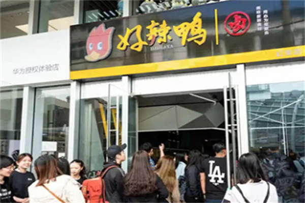好辣鸭食品