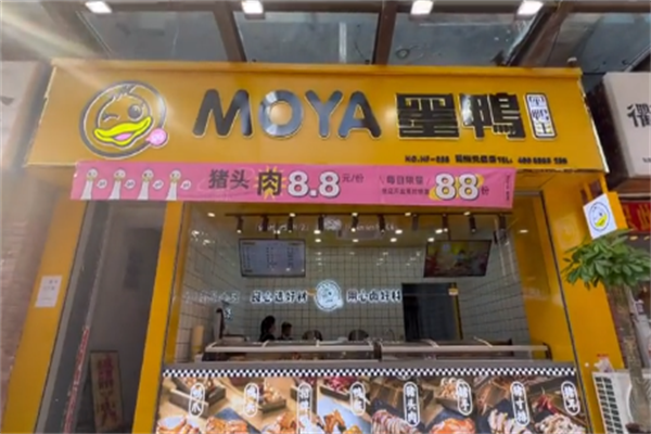 墨鸭黑鸭王