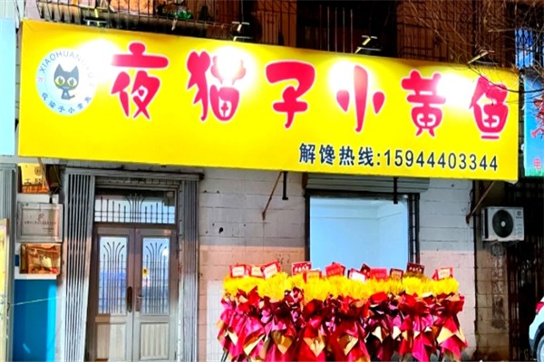 猫店长小黄鱼