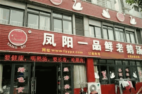 凤阳一品鲜老鹅汤