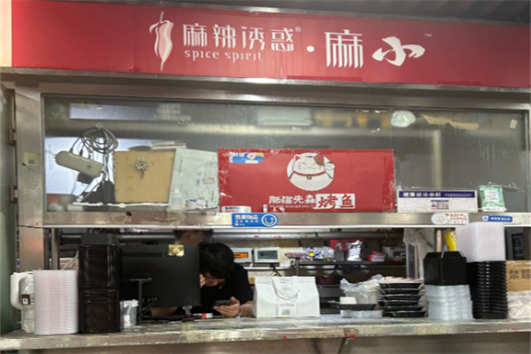 麻小麻辣诱惑